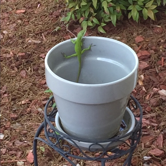 Meet your Posher, Erin - Picture 5 of 8